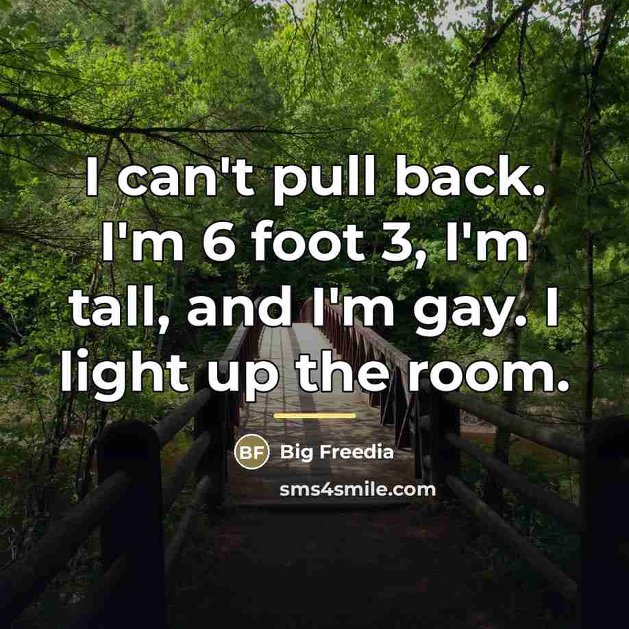 “I can't pull back. I'm 6 foot 3, I'm tall,…” quote by Big Freedia