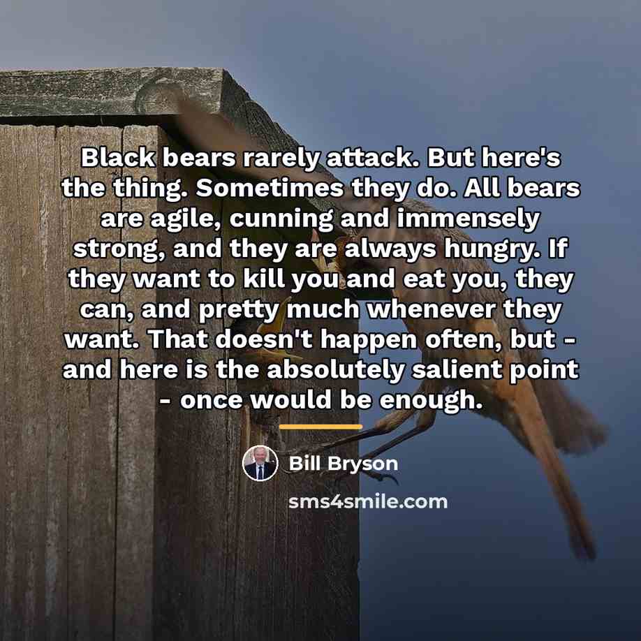 “Black bears rarely attack. But here's the thing. Sometimes they…” quote by Bill Bryson