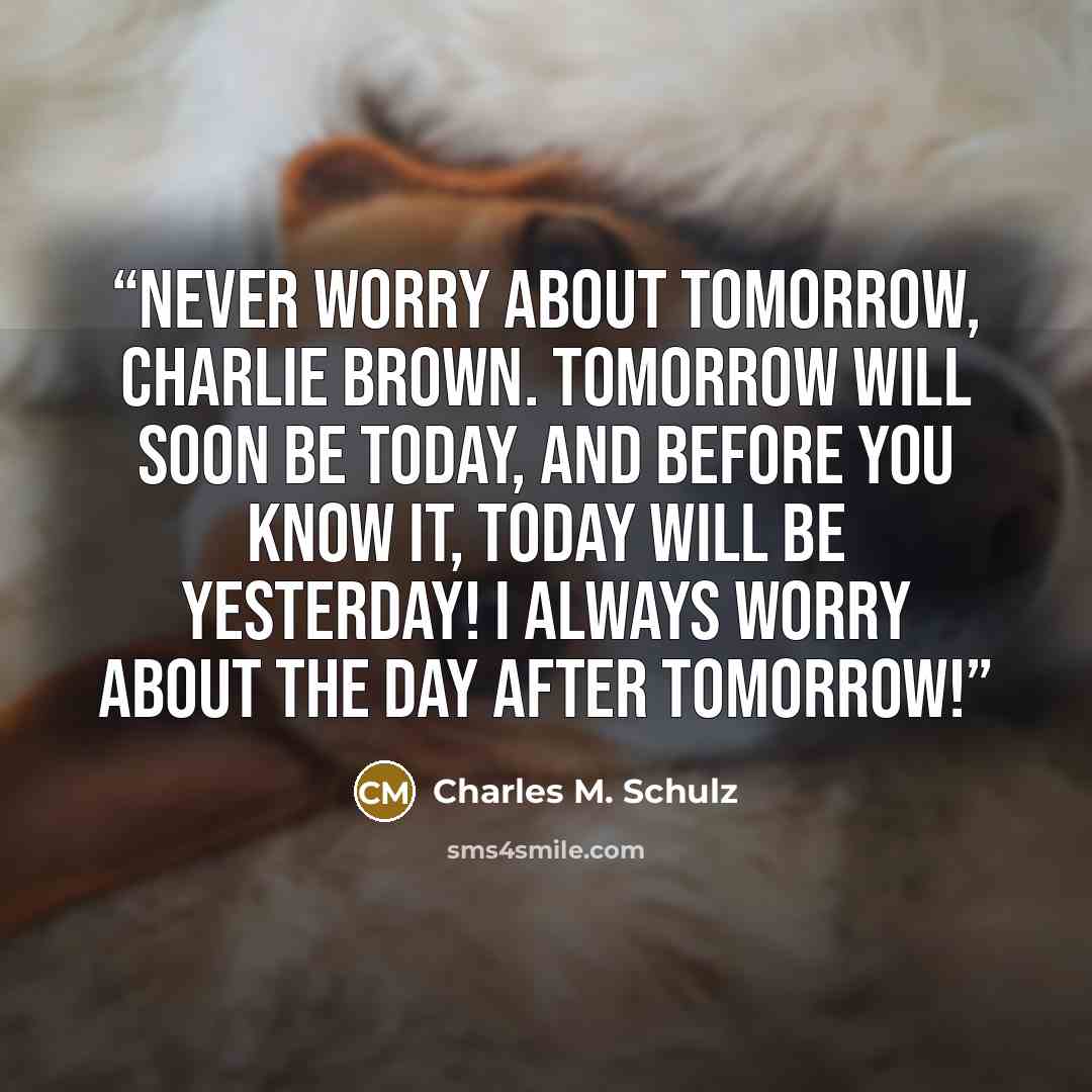 “Never worry about tomorrow, Charlie Brown. Tomorrow will soon be today, and before you know it, today will be yesterday! I always worry about the day after tomorrow!” quote by Charles M. Schulz