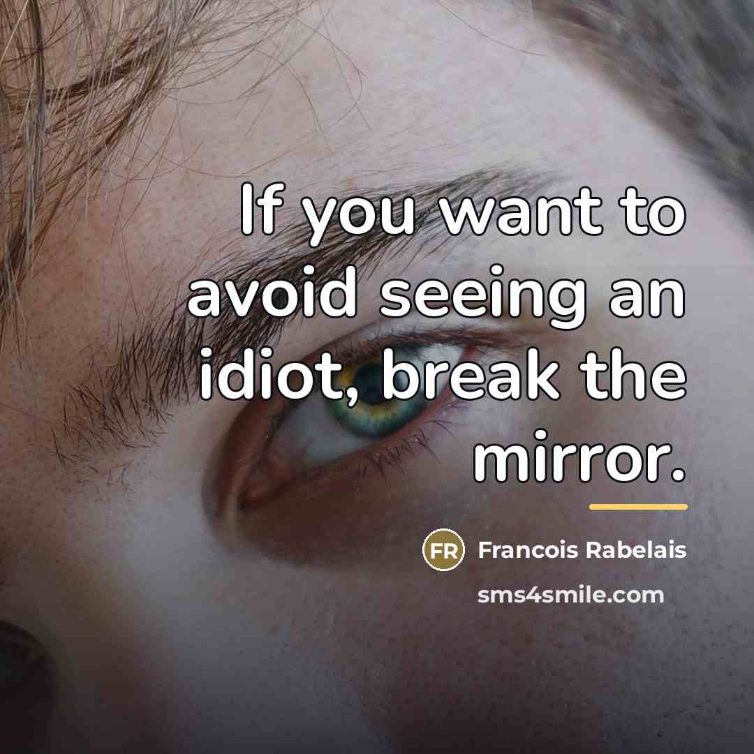 “If you want to avoid seeing an idiot, break the…” quote by Francois Rabelais