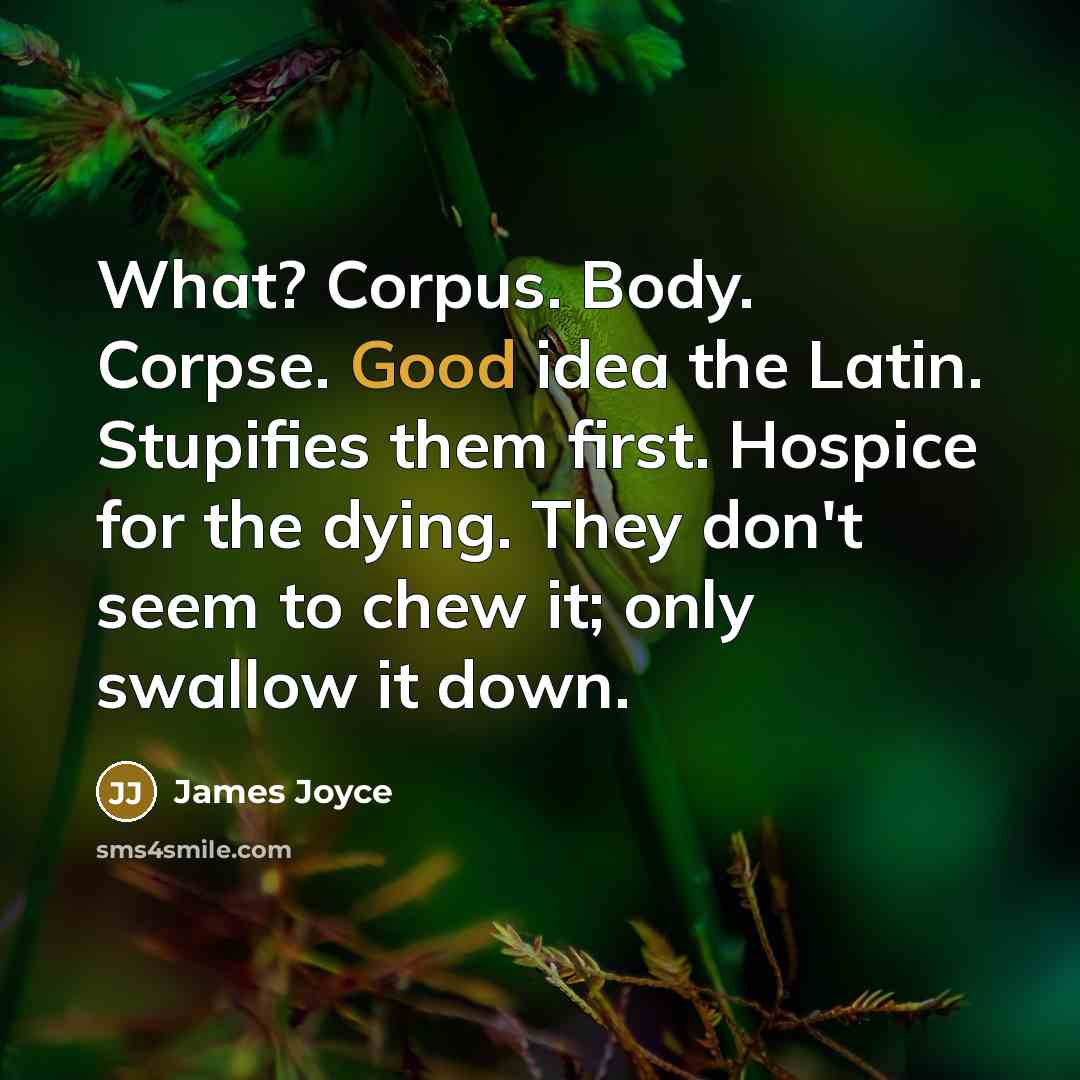 “What? Corpus. Body. Corpse. Good idea the Latin. Stupifies them…” quote by James Joyce