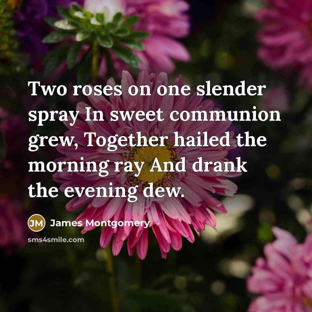 “Two roses on one slender spray In sweet communion grew,…” quote by James Montgomery