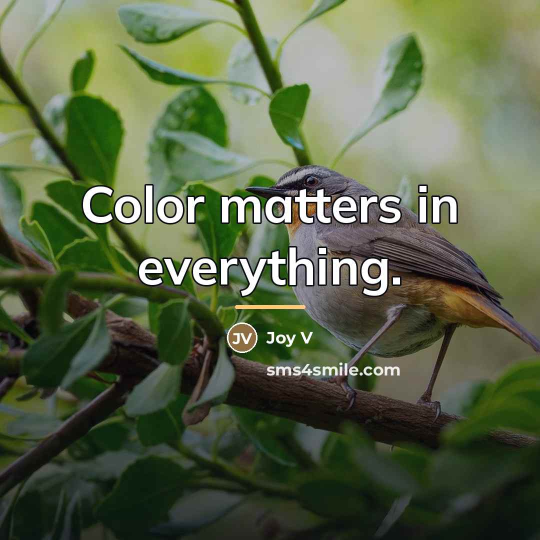 “Color matters in everything.…” quote by Joy V