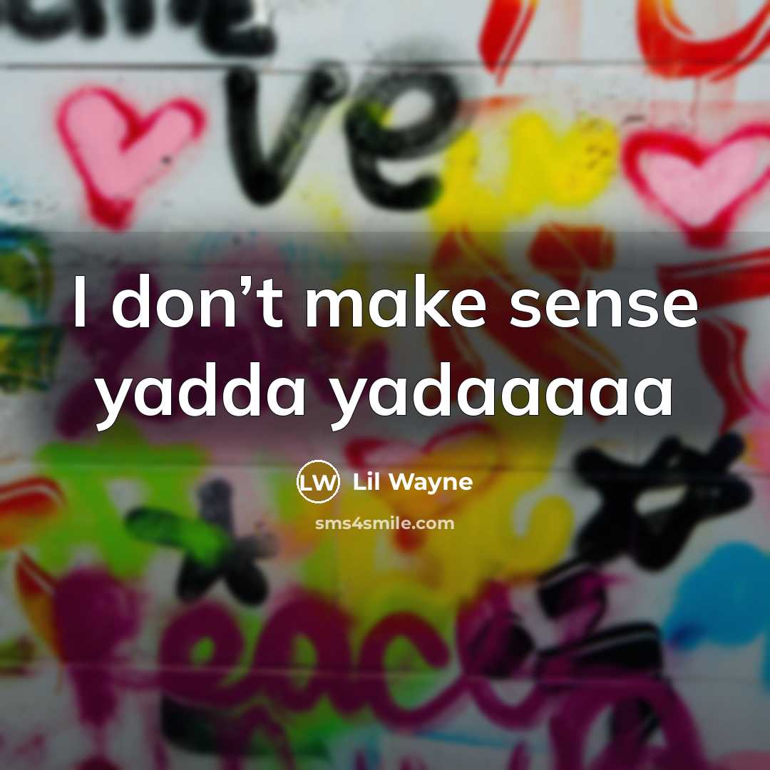 “I don’t make sense yadda yadaaaaa…” quote by Lil Wayne