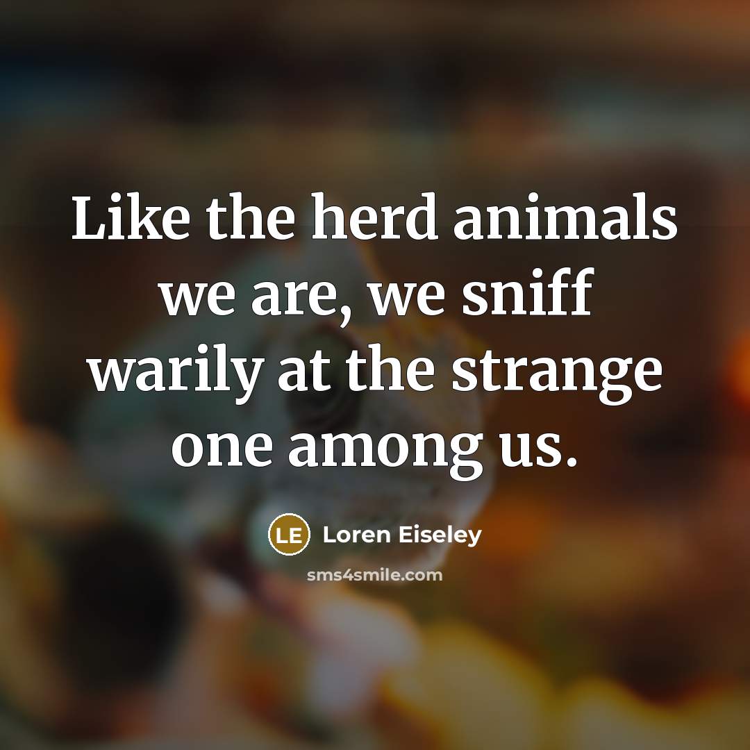 “Like the herd animals we are, we sniff warily at…” quote by Loren Eiseley