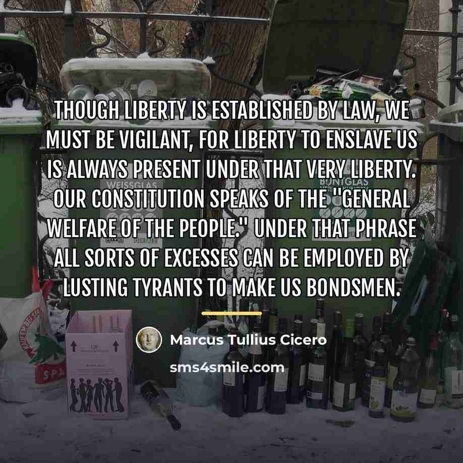 “Though liberty is established by law, we must be vigilant,…” quote by Marcus Tullius Cicero