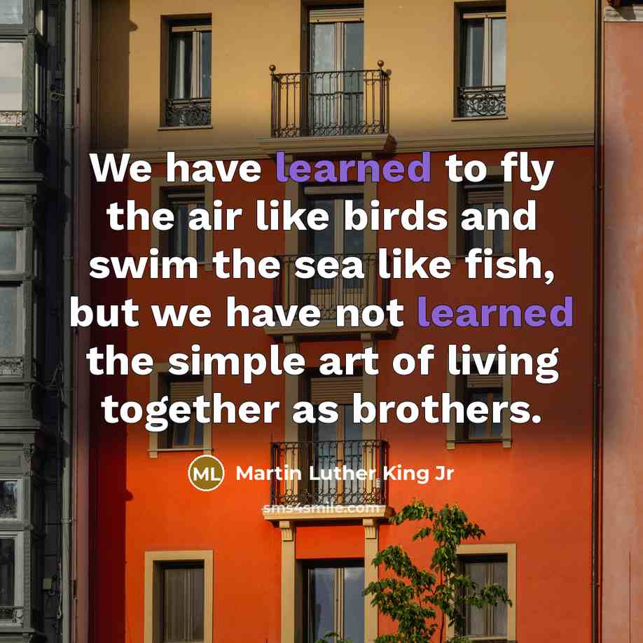 “We have learned to fly the air like birds and…” quote by Martin Luther King Jr