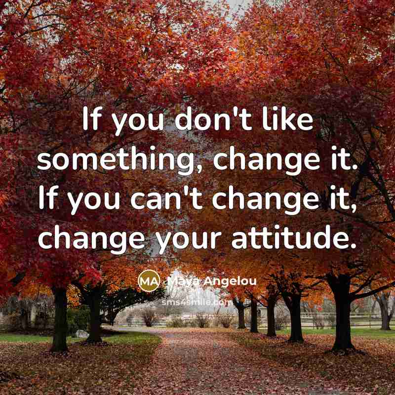 “If you don't like something, change it. If you can't…” quote by Maya Angelou