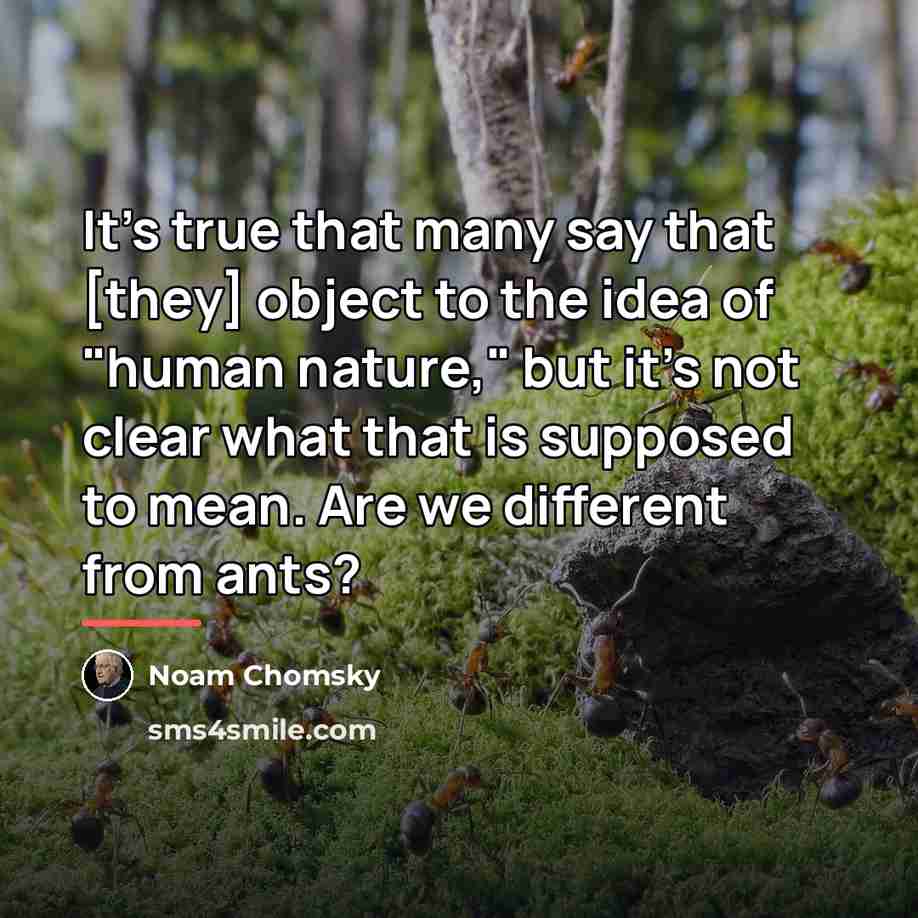 “It's true that many say that [they] object to the…” quote by Noam Chomsky