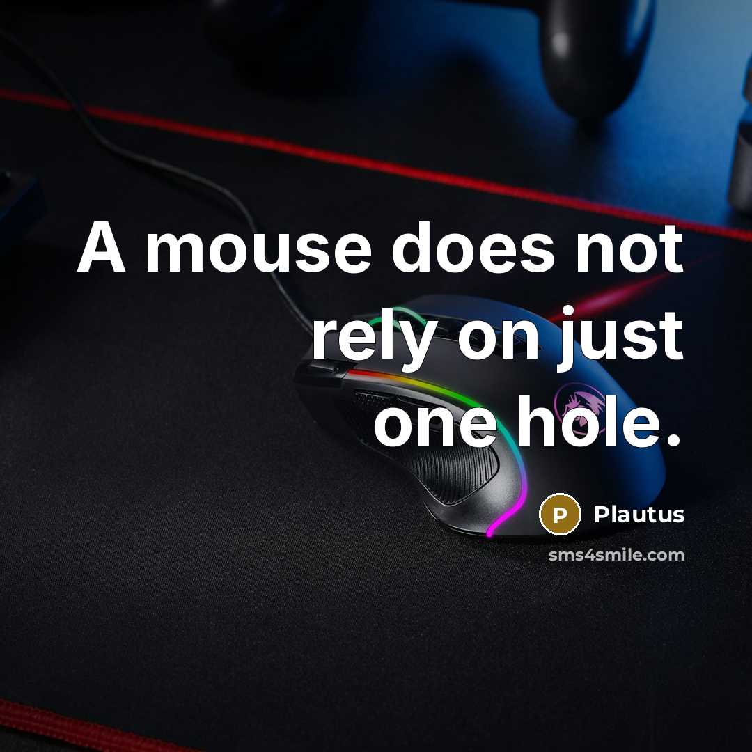 “A mouse does not rely on just one hole.” quote by Plautus