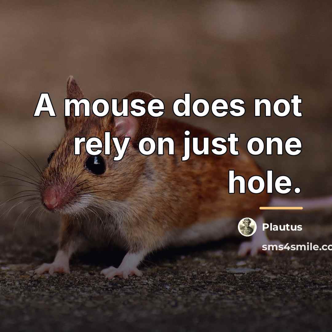 “A mouse does not rely on just one hole.…” quote by Plautus