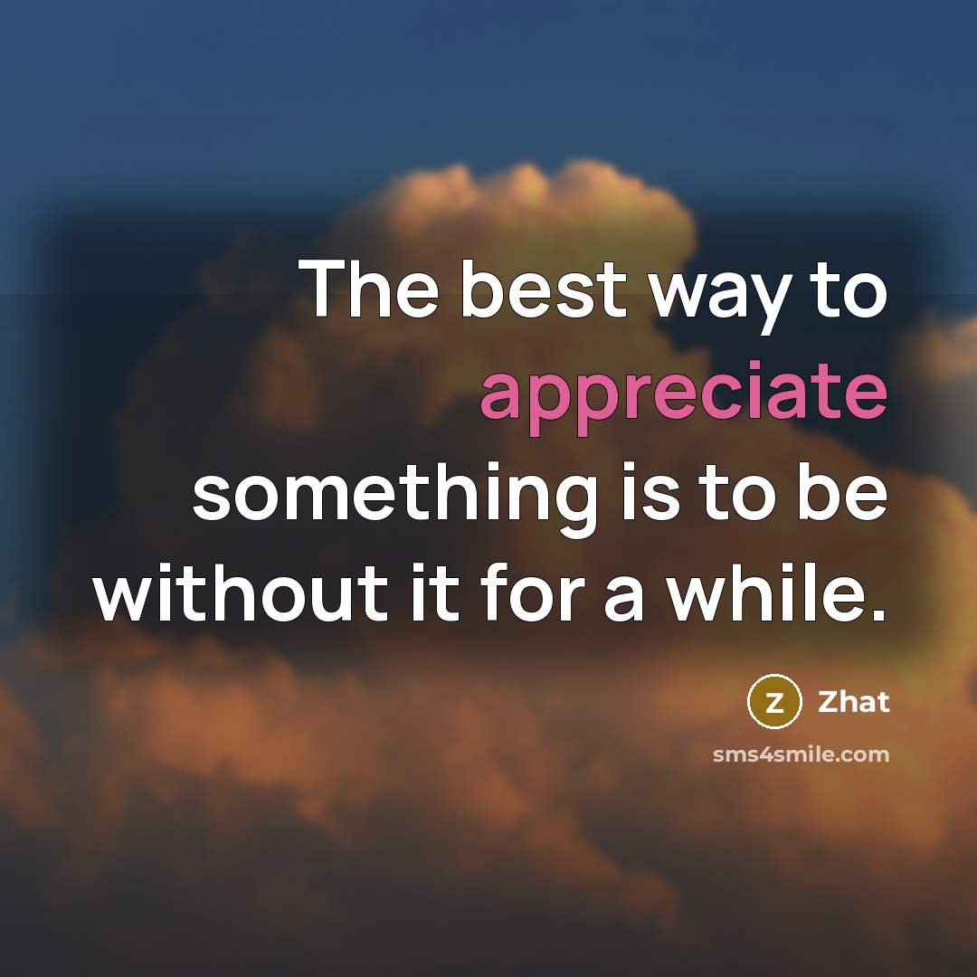 “The best way to appreciate something is to be without it for a while.” quote by Zhat