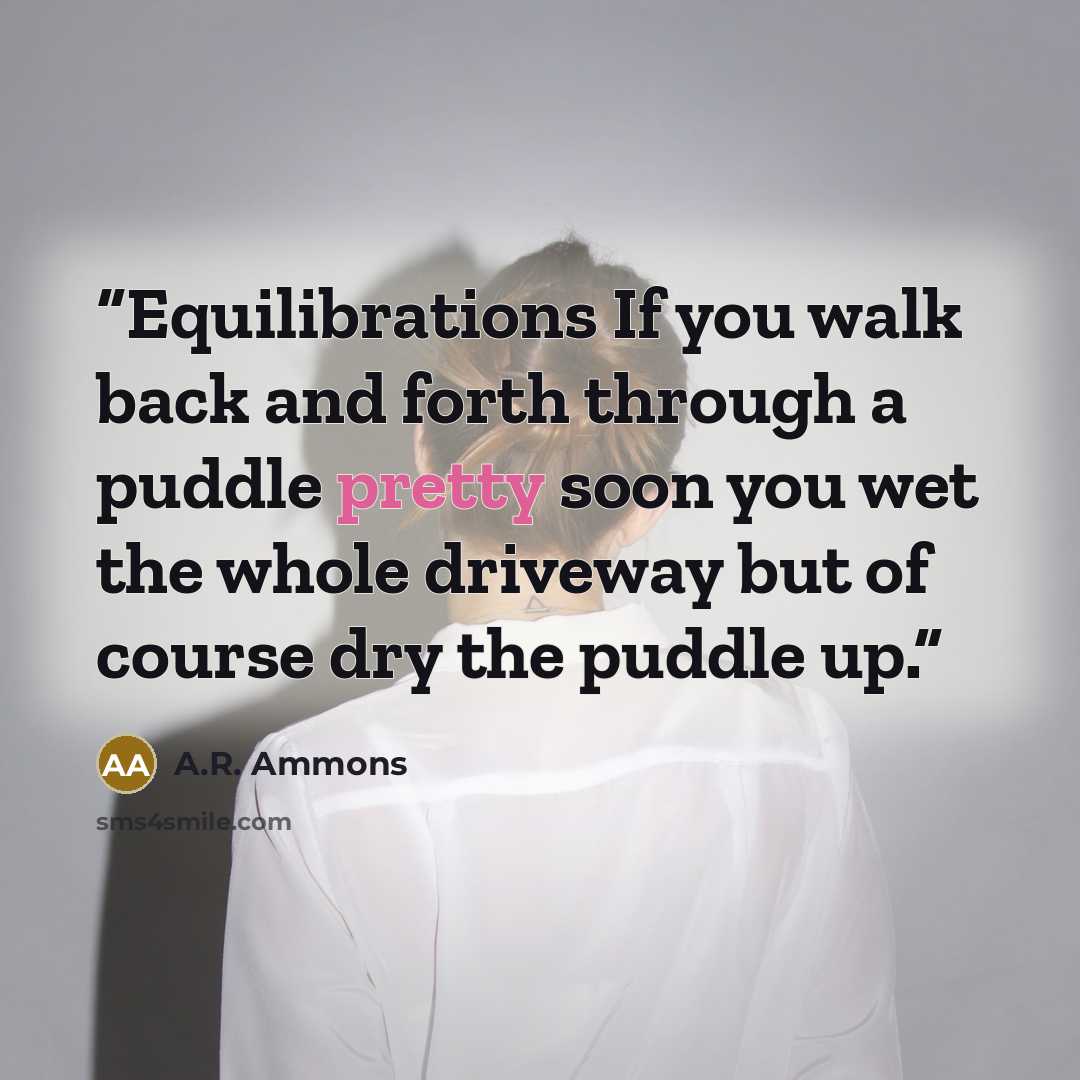 “Equilibrations If you walk back and forth through a puddle pretty soon you wet the whole driveway but of course dry the puddle up.” quote by A.R. Ammons