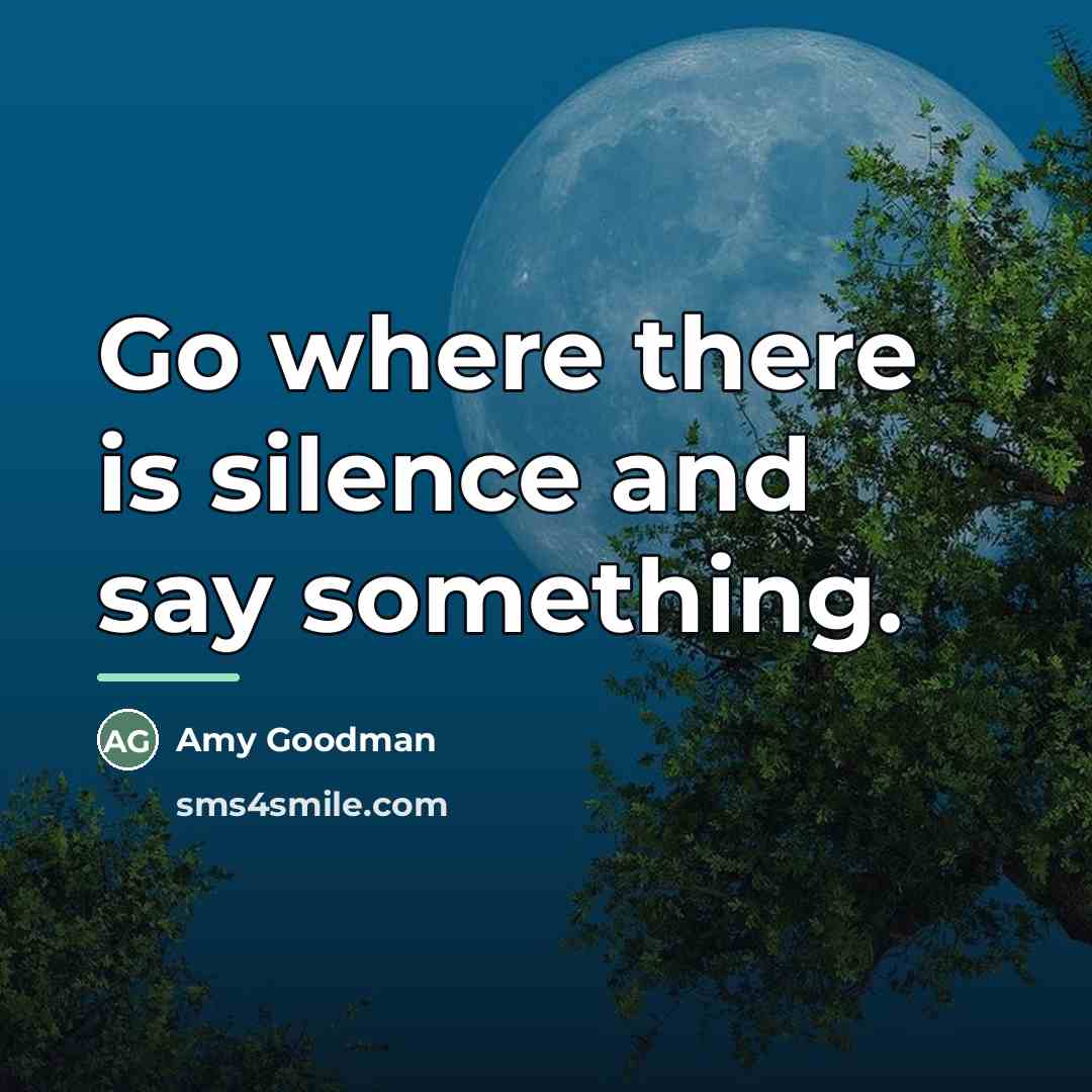 “Go where there is silence and say something.…” quote by Amy Goodman