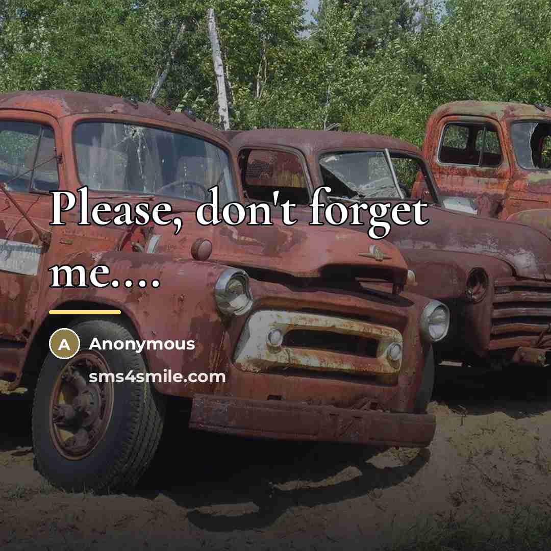 “Please, don't forget me....…” quote by Anonymous