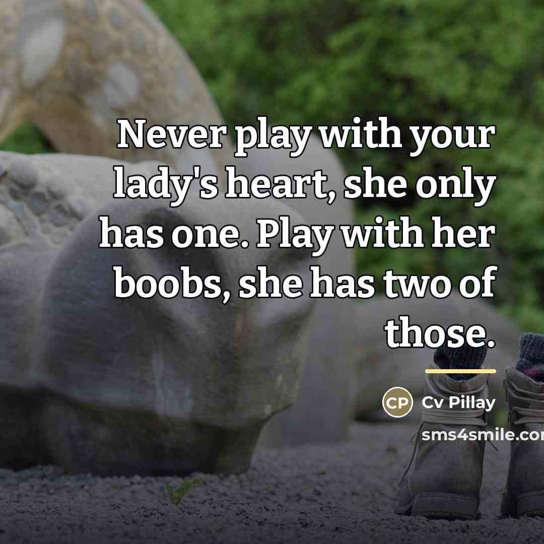“Never play with your lady's heart, she only has one.…” quote by Cv Pillay