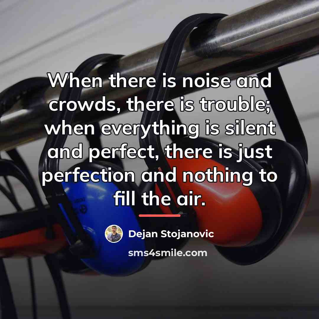 “When there is noise and crowds, there is trouble; when…” quote by Dejan Stojanovic