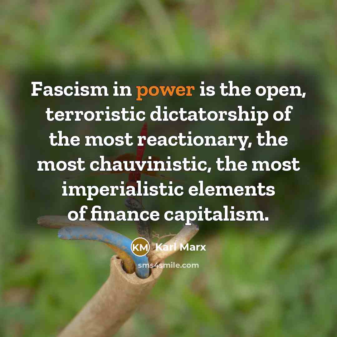 “Fascism in power is the open, terroristic dictatorship of the…” quote by Karl Marx