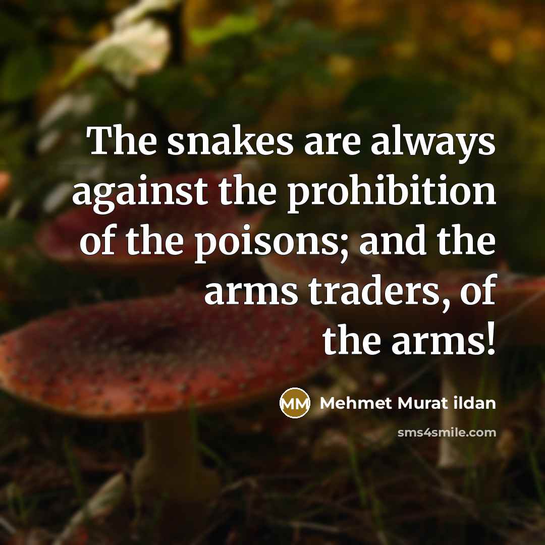 “The snakes are always against the prohibition of the poisons;…” quote by Mehmet Murat Ildan