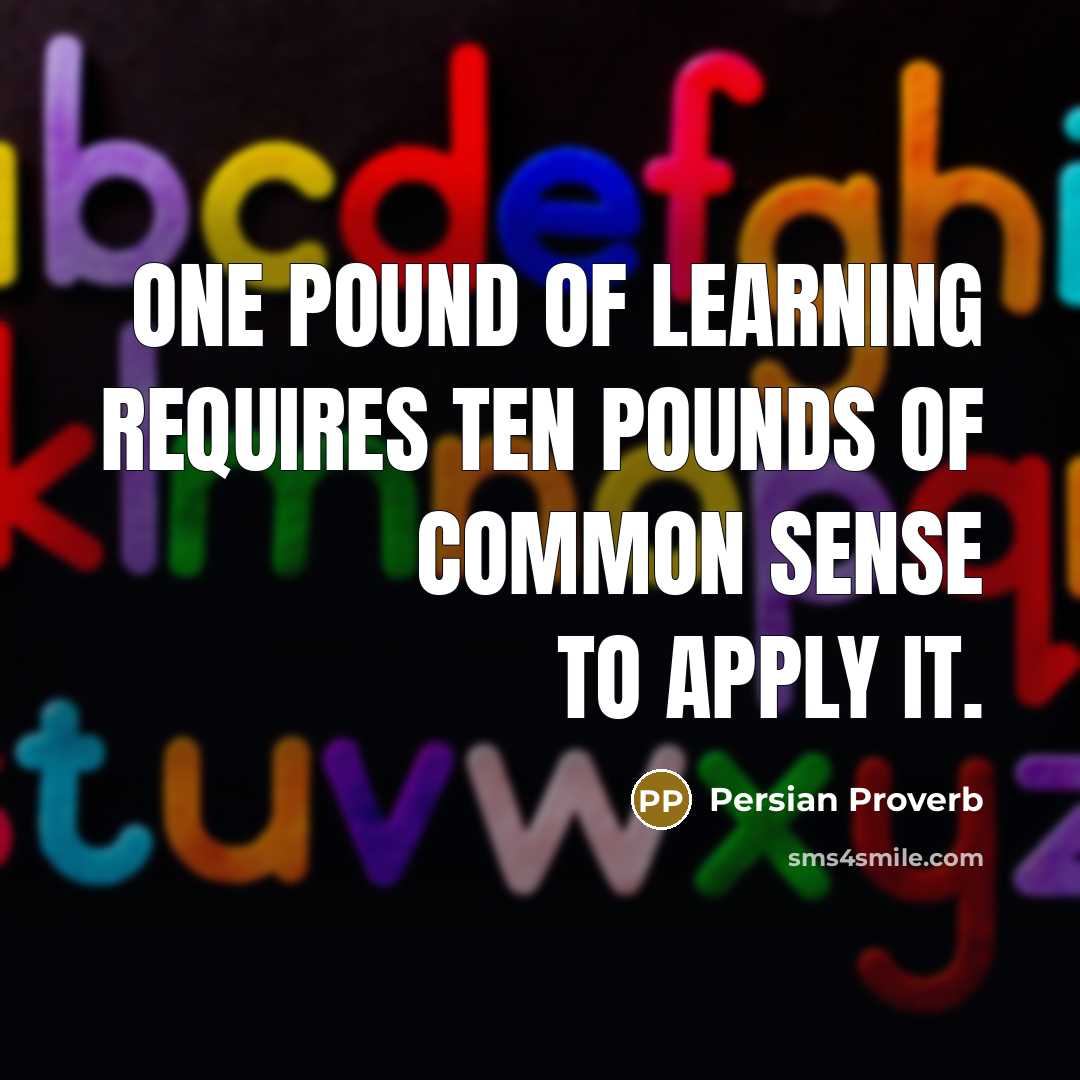 “One pound of learning requires ten pounds of common sense…” quote by Persian Proverb
