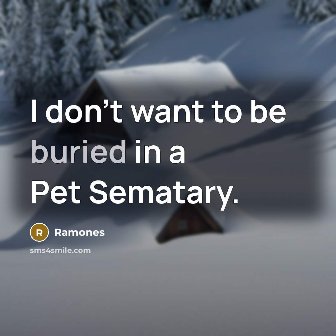 “I don't want to be buried in a Pet Sematary.” quote by Ramones