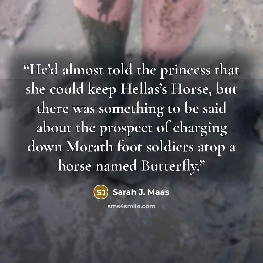 “He’d almost told the princess that she could keep Hellas’s Horse, but there was something to be said about the prospect of charging down Morath foot soldiers atop a horse named Butterfly.” quote by Sarah J. Maas