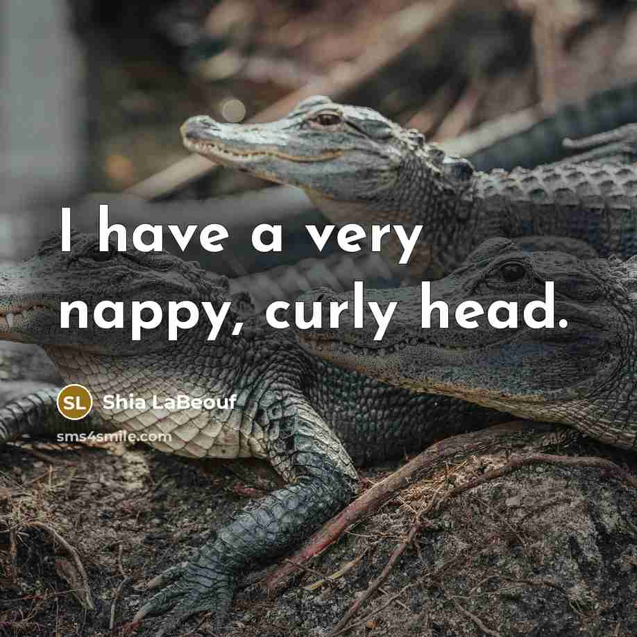 “I have a very nappy, curly head.…” quote by Shia LaBeouf