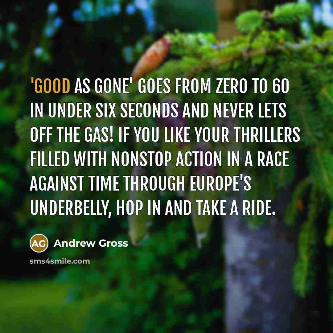 “'Good as Gone' goes from zero to 60 in under…” quote by Andrew Gross