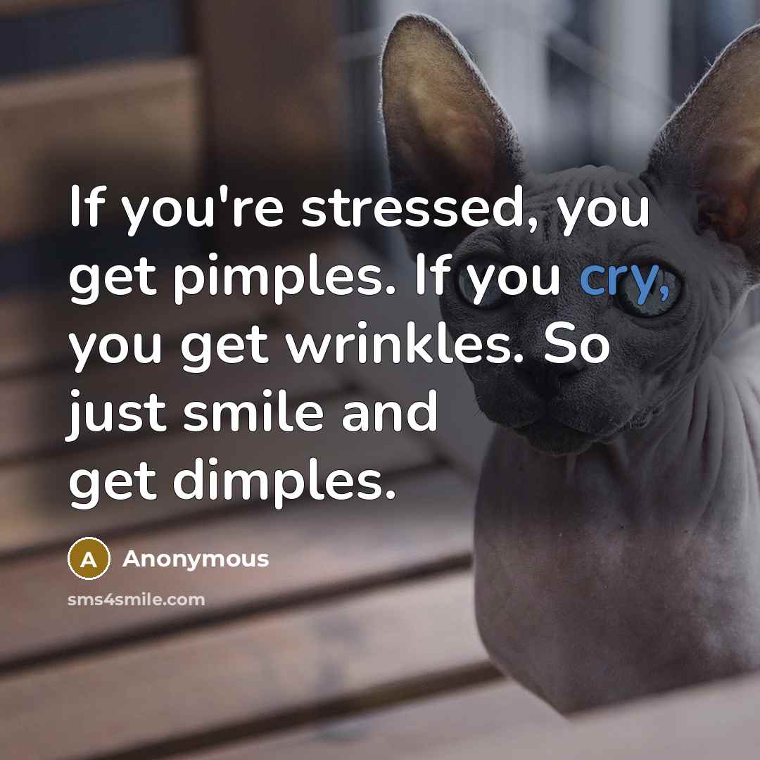“If you're stressed, you get pimples. If you cry, you get wrinkles. So just smile and get dimples.” quote by Anonymous