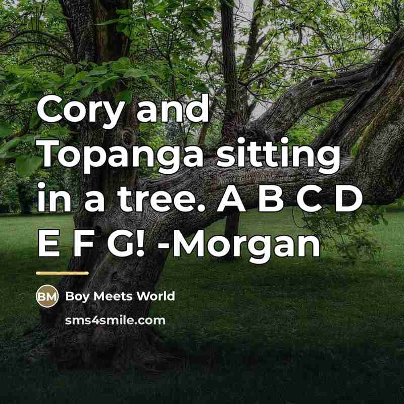 “Cory and Topanga sitting in a tree. A B C…” quote by Boy Meets World