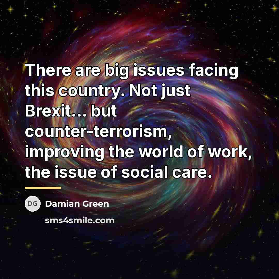 “There are big issues facing this country. Not just Brexit...…” quote by Damian Green