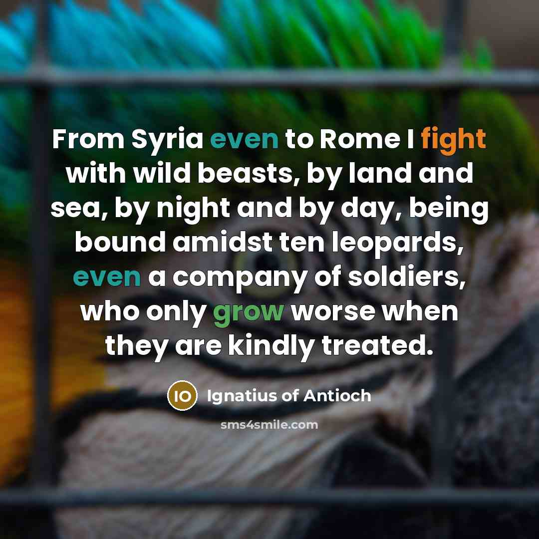 “From Syria even to Rome I fight with wild beasts,…” quote by Ignatius of Antioch