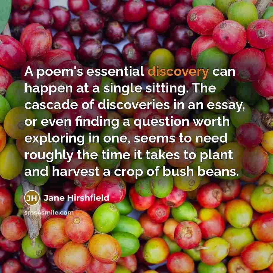 “A poem's essential discovery can happen at a single sitting.…” quote by Jane Hirshfield