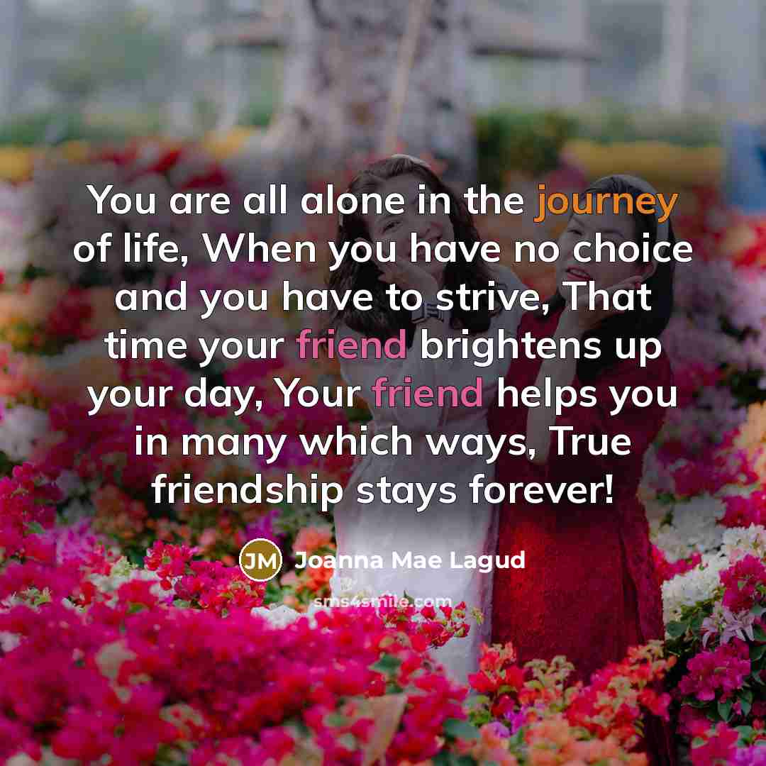 “You are all alone in the journey of life, When…” quote by Joanna Mae Lagud