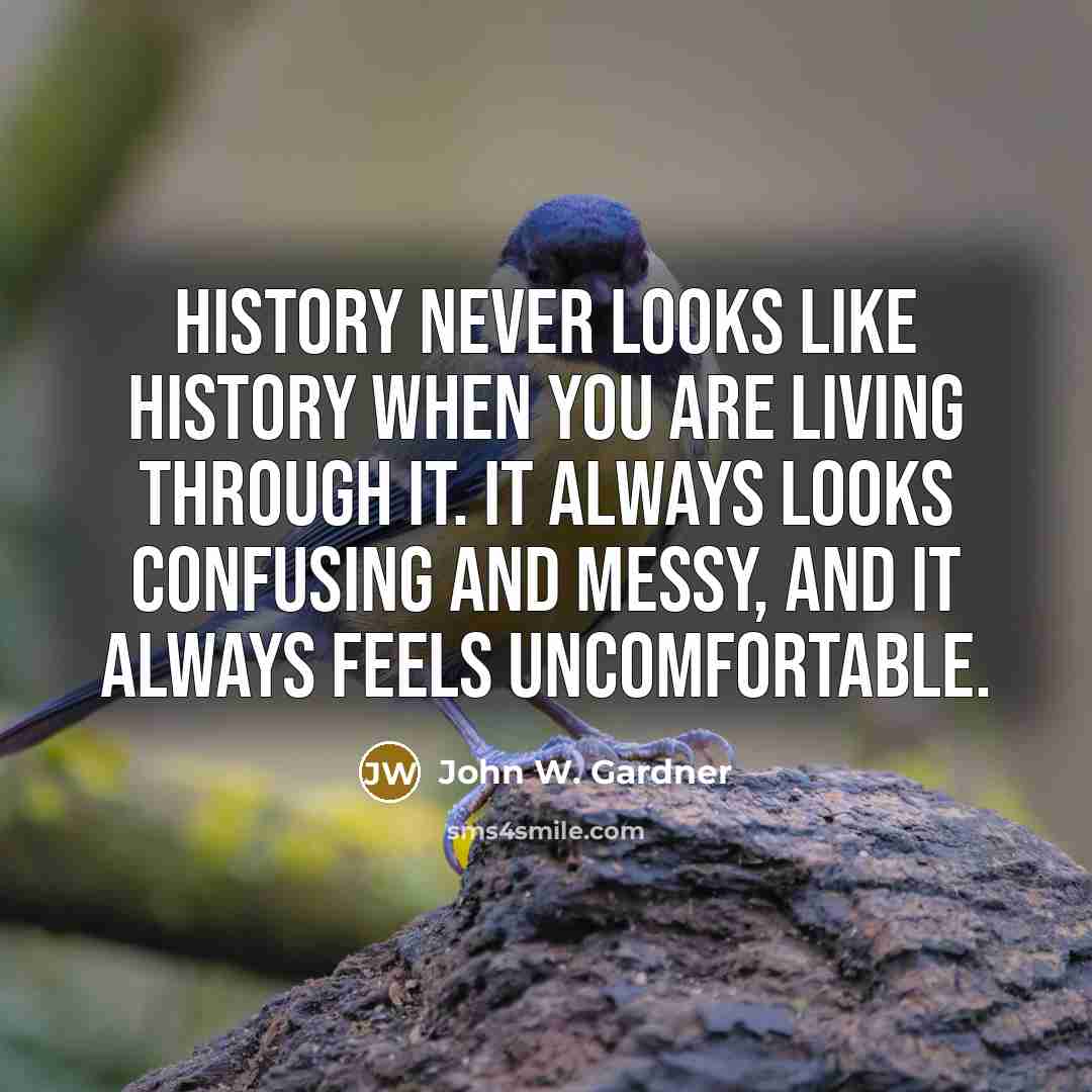 “History never looks like history when you are living through it. It always looks confusing and messy, and it always feels uncomfortable.” quote by John W. Gardner