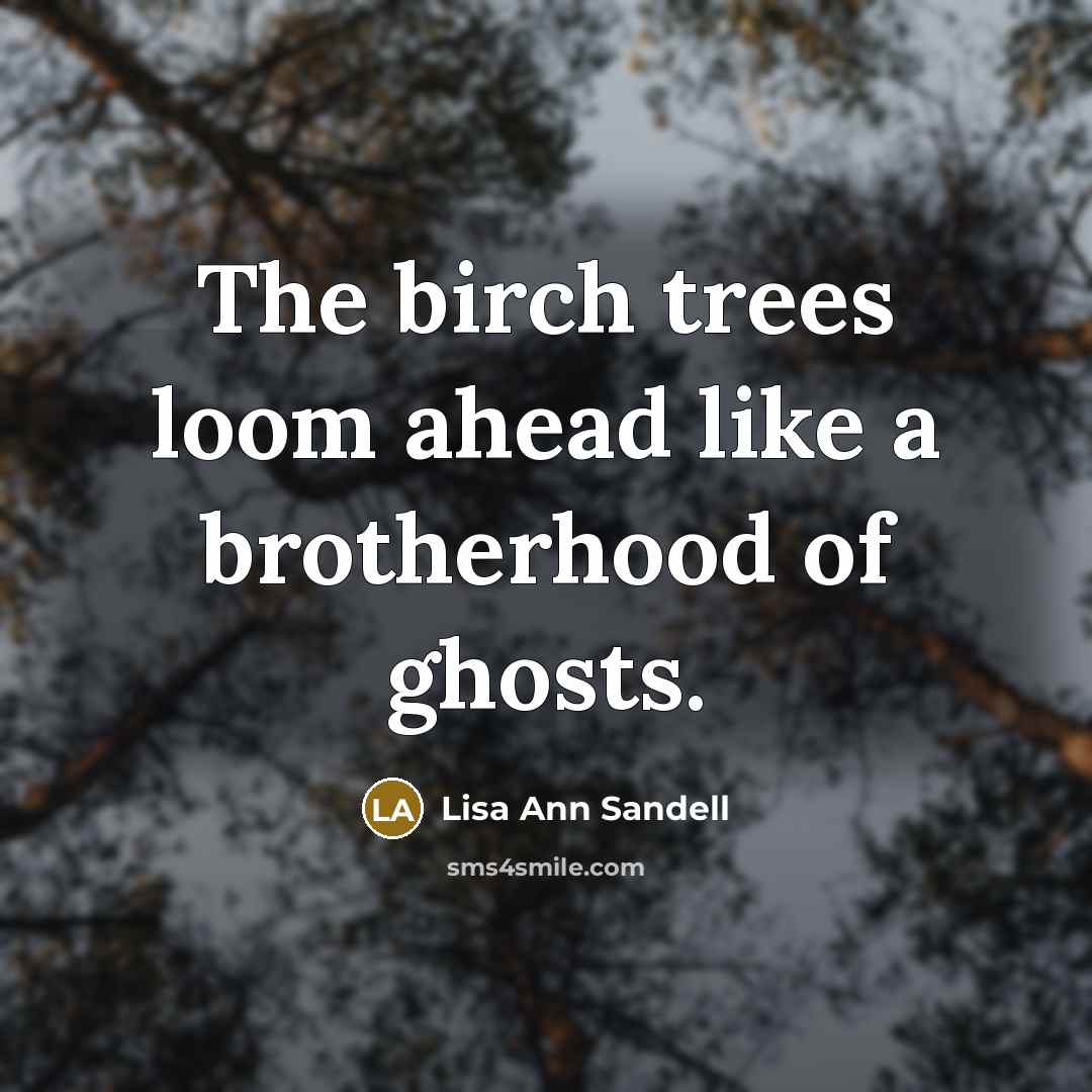 “The birch trees loom ahead like a brotherhood of ghosts.…” quote by Lisa Ann Sandell