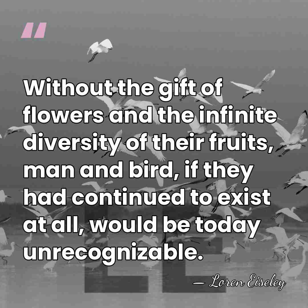 Without the gift of flowers and the infinite diversity of their fruits,&hellip; - Loren Eiseley