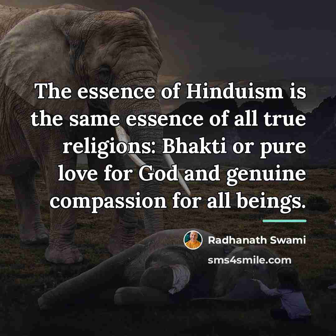 “The essence of Hinduism is the same essence of all…” quote by Radhanath Swami