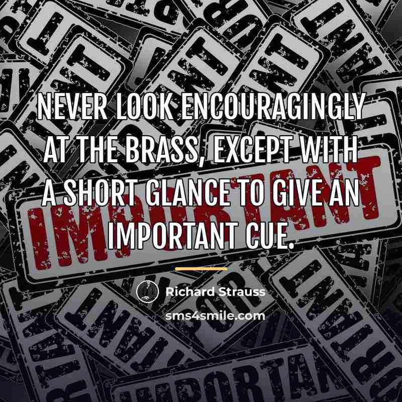 “Never look encouragingly at the brass, except with a short…” quote by Richard Strauss