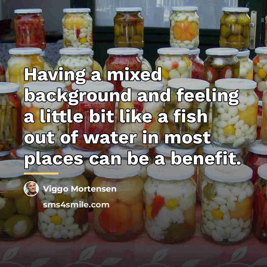 “Having a mixed background and feeling a little bit like…” quote by Viggo Mortensen