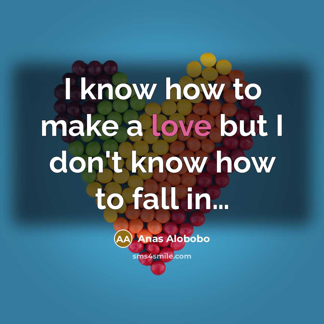 “I know how to make a love but I don't…” quote by Anas Alobobo