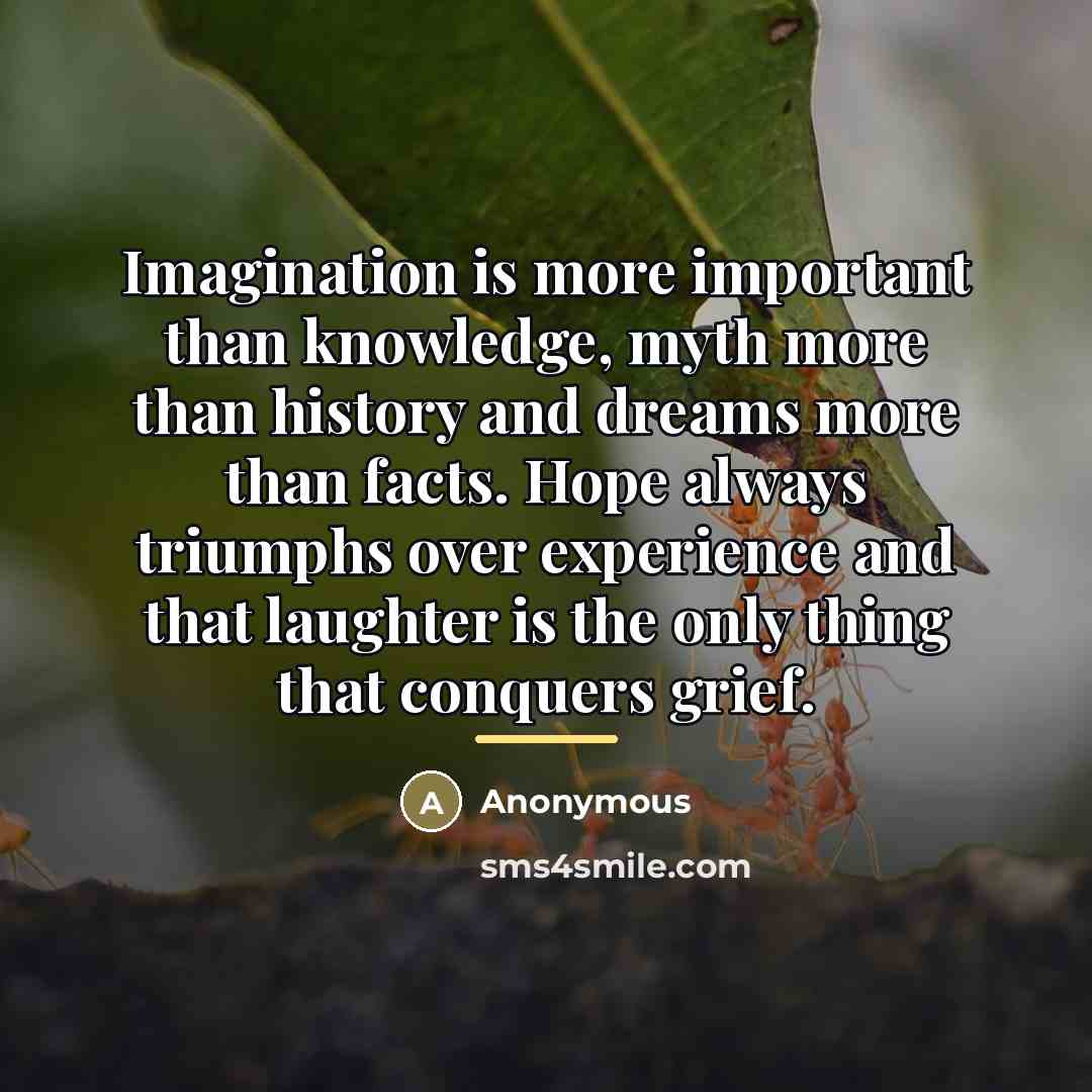 “Imagination is more important than knowledge, myth more than history…” quote by Anonymous