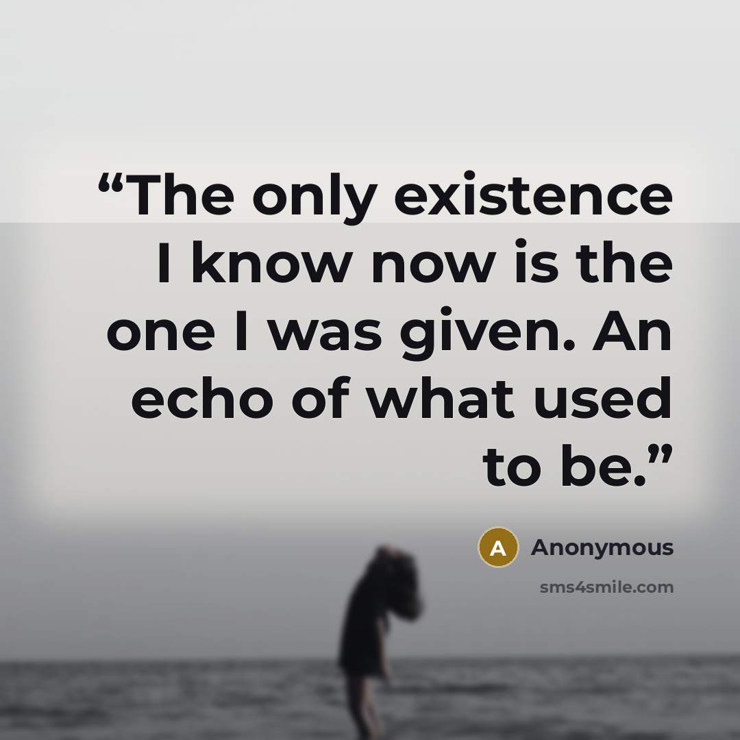 “The only existence I know now is the one I was given. An echo of what used to be.” quote by Anonymous
