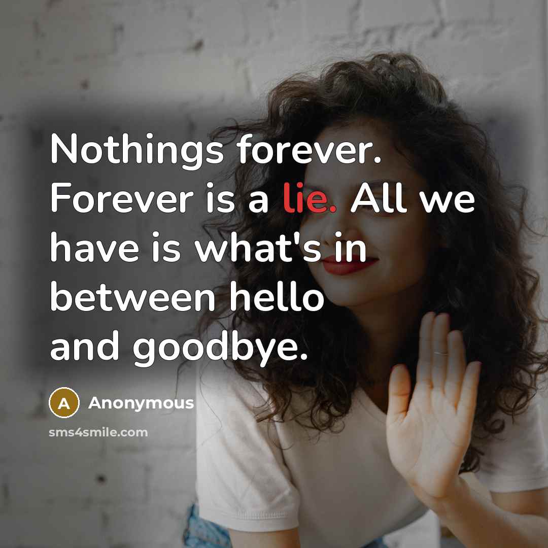 “Nothings forever. Forever is a lie. All we have is what's in between hello and goodbye.” quote by Anonymous