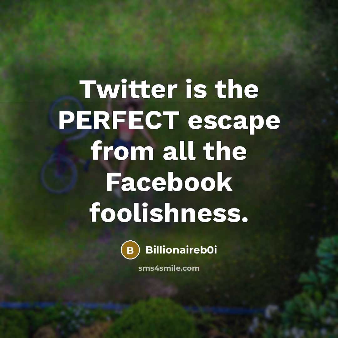 “Twitter is the PERFECT escape from all the Facebook foolishness.” quote by Billionaireb0i