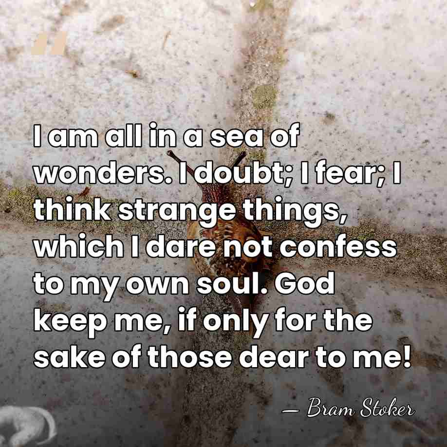 I am all in a sea of wonders. I doubt; I fear;&hellip; - Bram Stoker