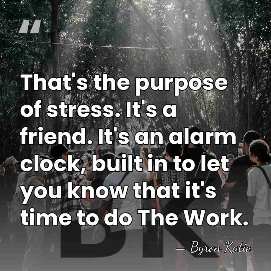 That's the purpose of stress. It's a friend. It's an alarm clock,&hellip; - Byron Katie