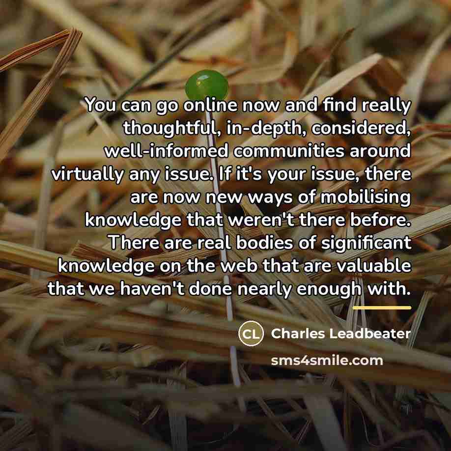 “You can go online now and find really thoughtful, in-depth,…” quote by Charles Leadbeater