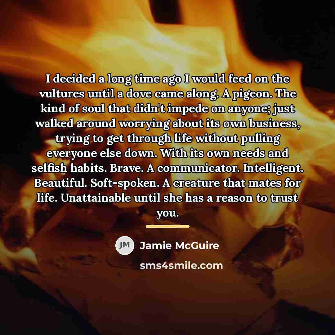 “I decided a long time ago I would feed on…” quote by Jamie McGuire