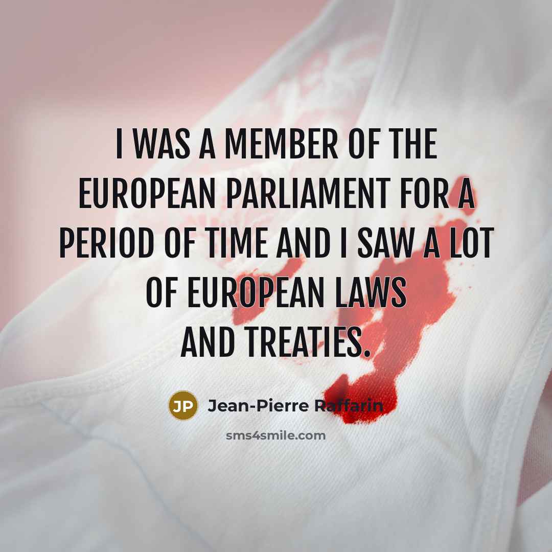 “I was a Member of the European Parliament for a…” quote by Jean-Pierre Raffarin
